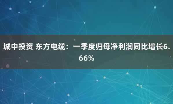 城中投资 东方电缆：一季度归母净利润同比增长6.66%