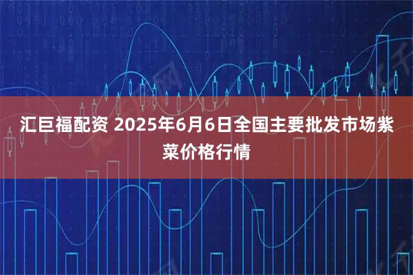 汇巨福配资 2025年6月6日全国主要批发市场紫菜价格行情