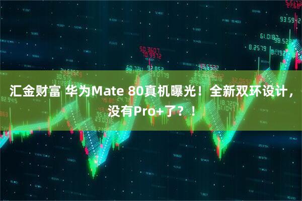 汇金财富 华为Mate 80真机曝光!全新双环设计,没有Pro+了?!