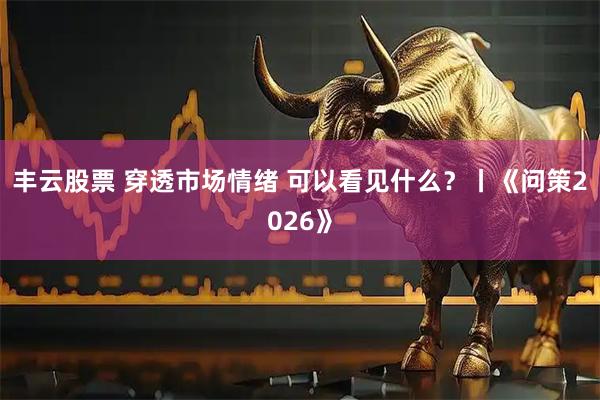 丰云股票 穿透市场情绪 可以看见什么？丨《问策2026》