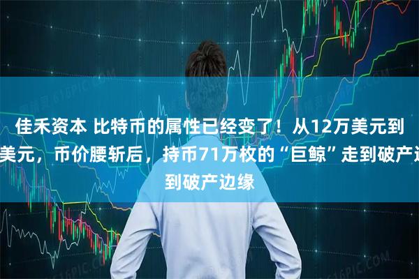 佳禾资本 比特币的属性已经变了！从12万美元到6万美元，币价腰斩后，持币71万枚的“巨鲸”走到破产边缘