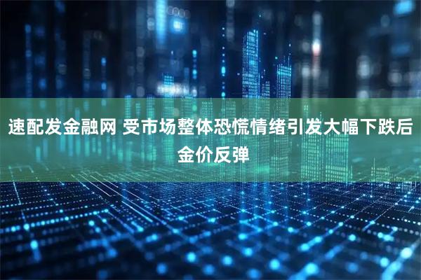 速配发金融网 受市场整体恐慌情绪引发大幅下跌后 金价反弹