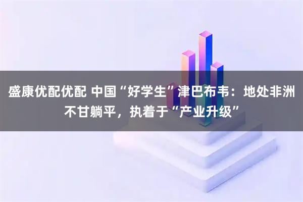 盛康优配优配 中国“好学生”津巴布韦：地处非洲不甘躺平，执着于“产业升级”