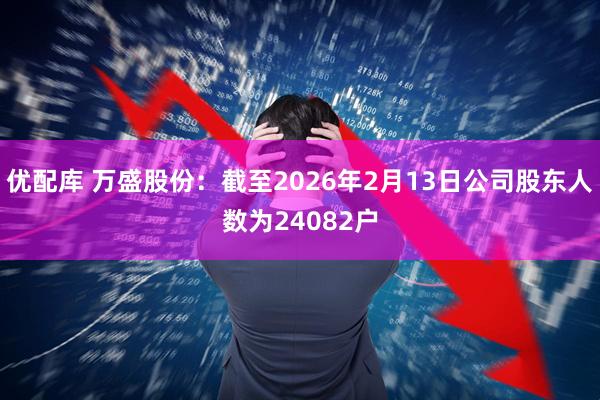 优配库 万盛股份：截至2026年2月13日公司股东人数为24082户