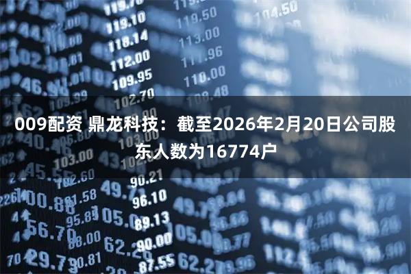 009配资 鼎龙科技：截至2026年2月20日公司股东人数为16774户