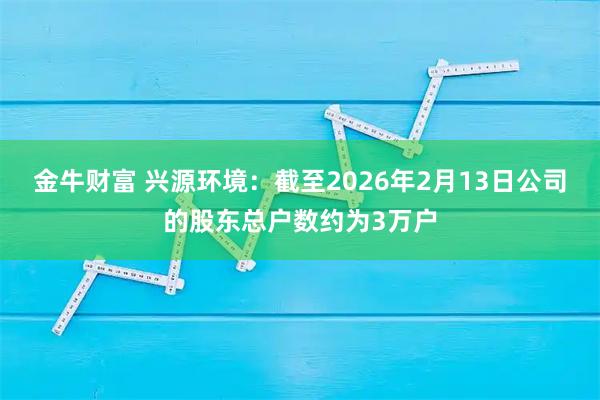 金牛财富 兴源环境：截至2026年2月13日公司的股东总户数约为3万户